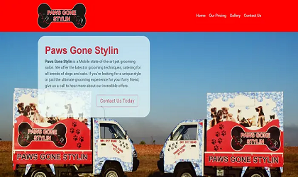 Website Landing Page for pawsgoneStylin